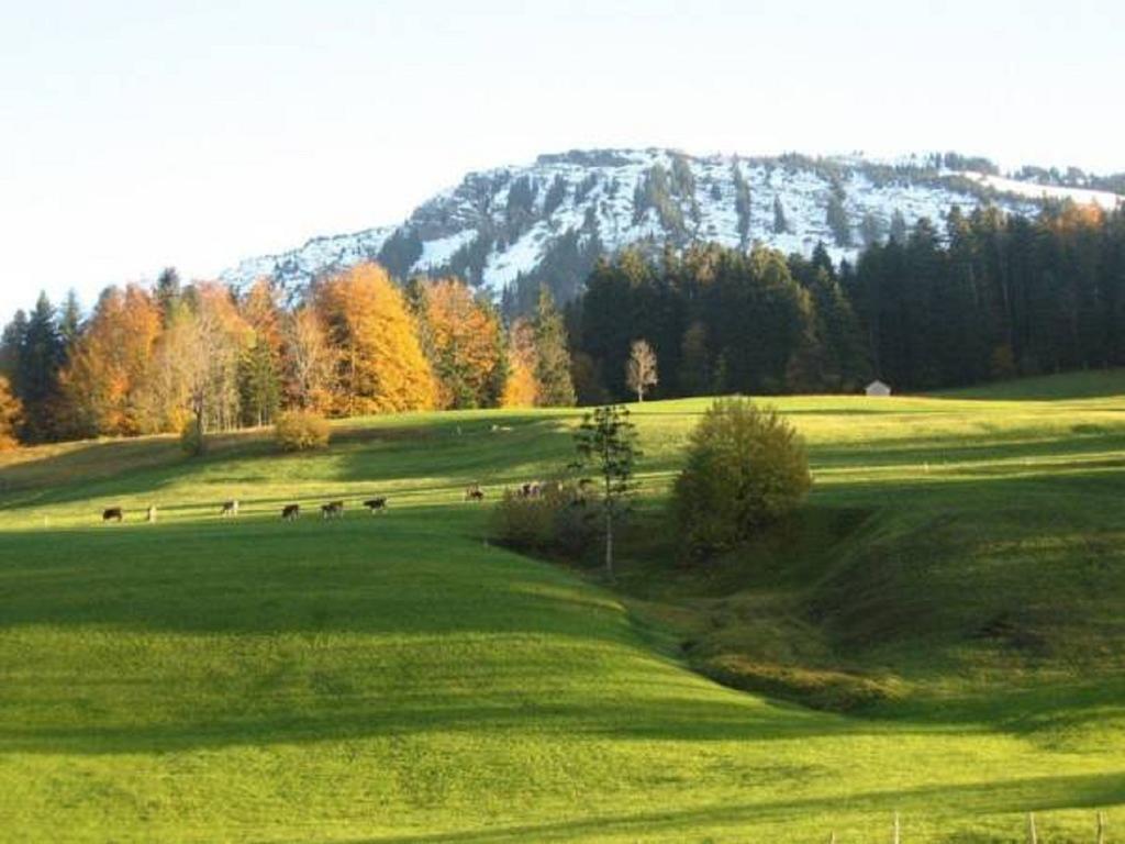 Bauernhof Hammerer Egg Room photo